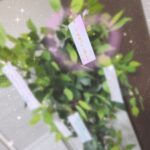 出勤しました!