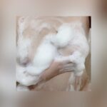 すぐに会えるので一緒に快楽堕ちしましょ？