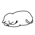お休みさせて頂きます。