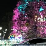 お出かけしたよ〜