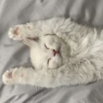 AFについて。