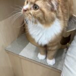 退勤しました??